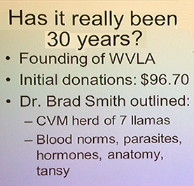 30 years of Camelid Research