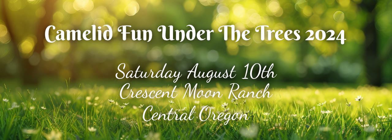camelid fun under the trees auction event header