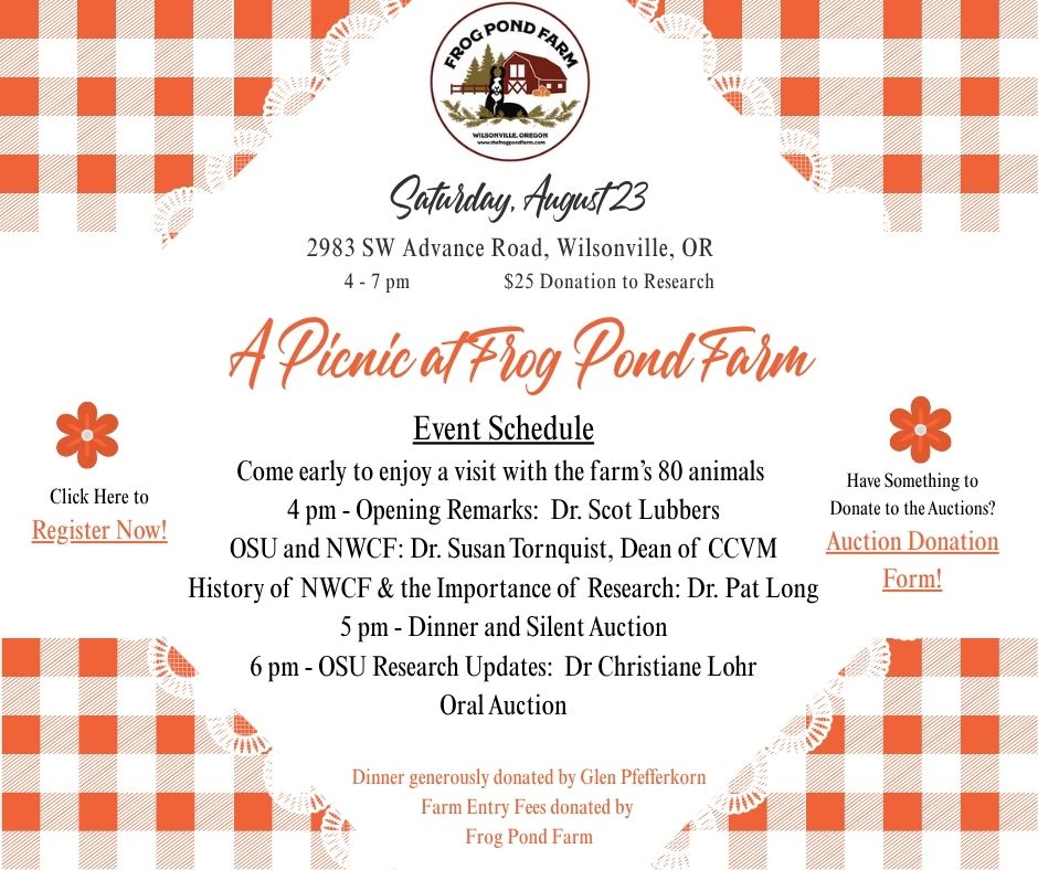 Picnic at Frog Pond Farm image